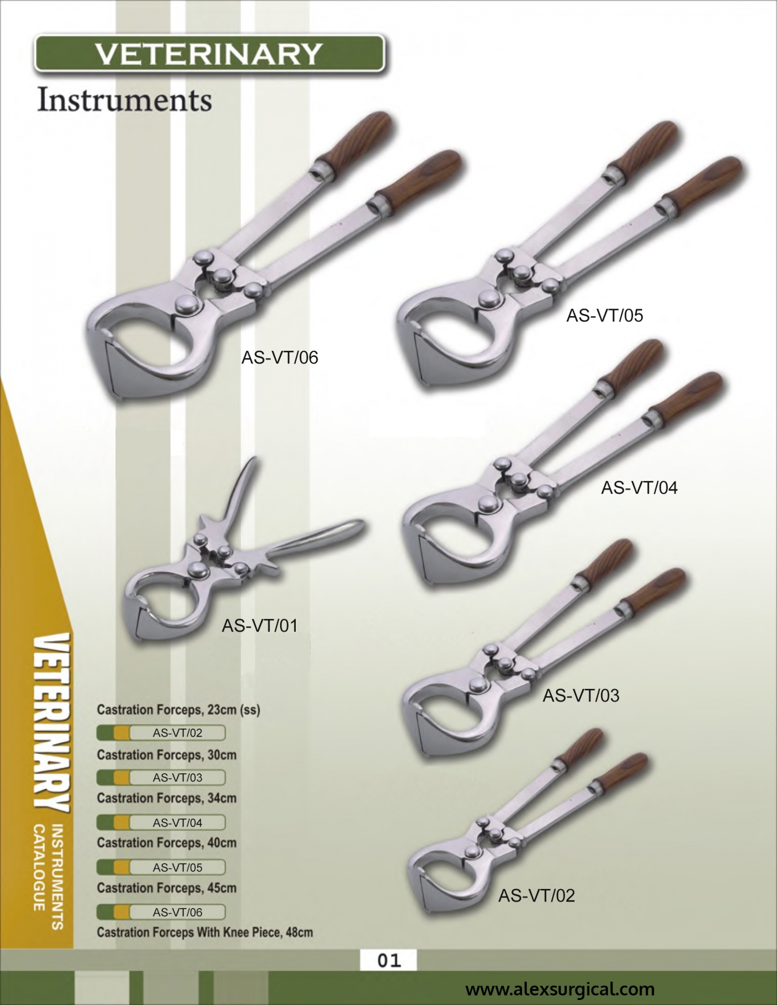 Veterinary Instruments